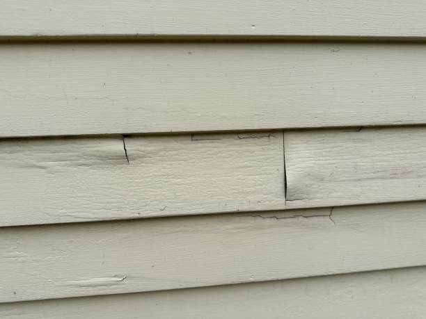 Shed Removal in Farmington, UT